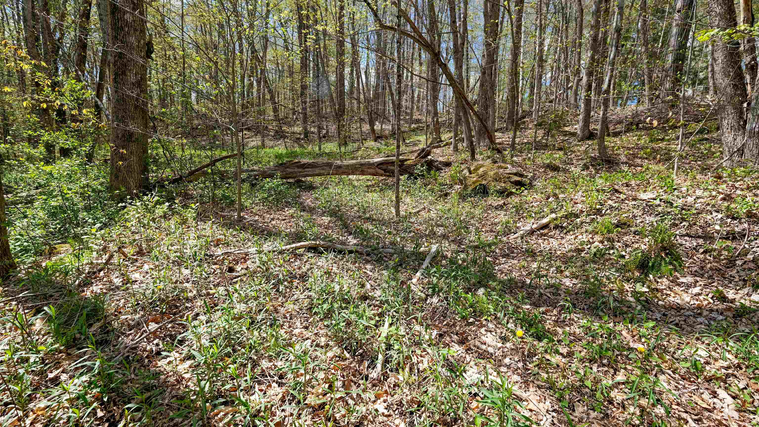 269 Hawkins Road Wallingford, VT 05742 - Photo 5 of 22
