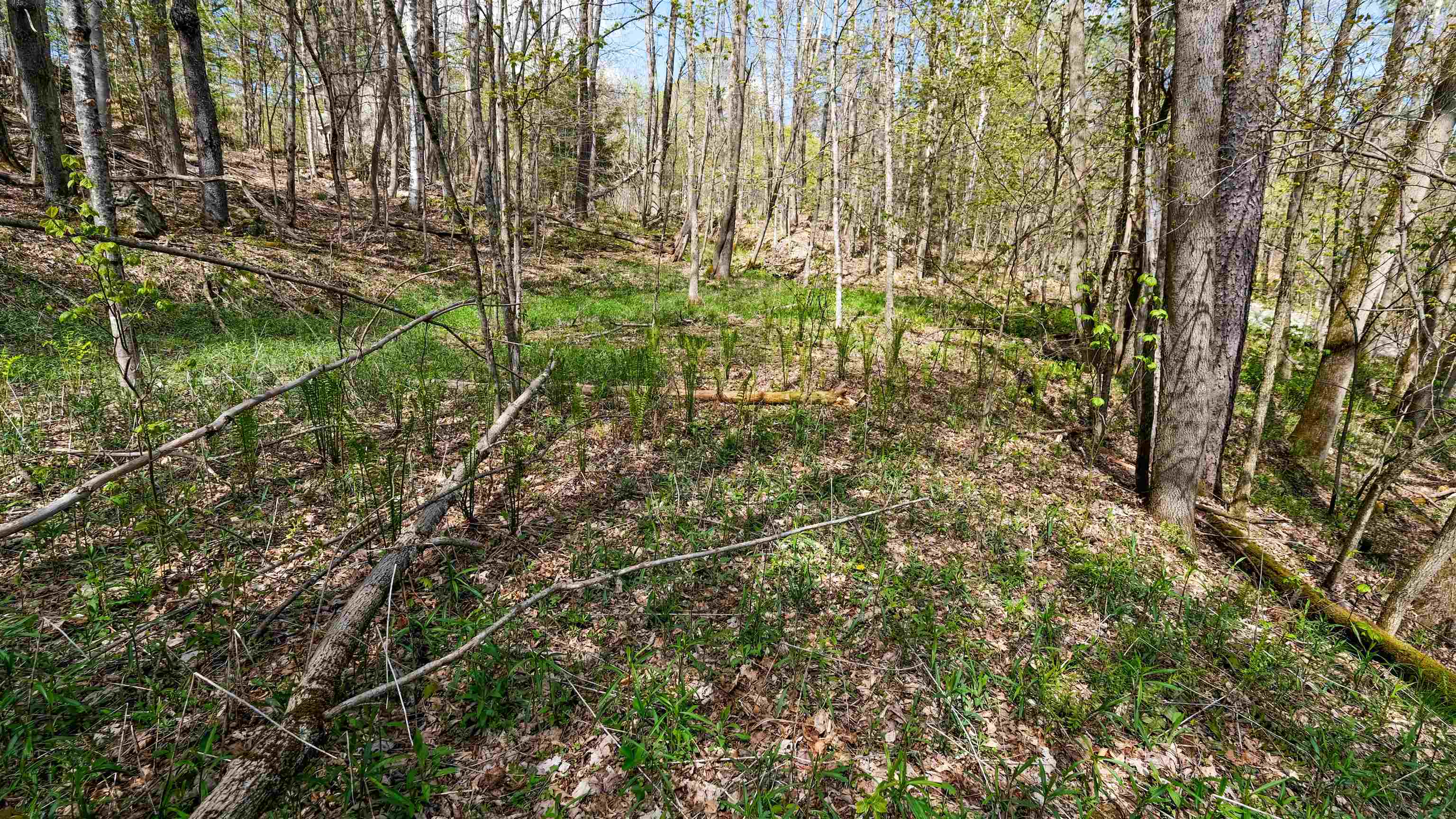 269 Hawkins Road Wallingford, VT 05742 - Photo 10 of 22