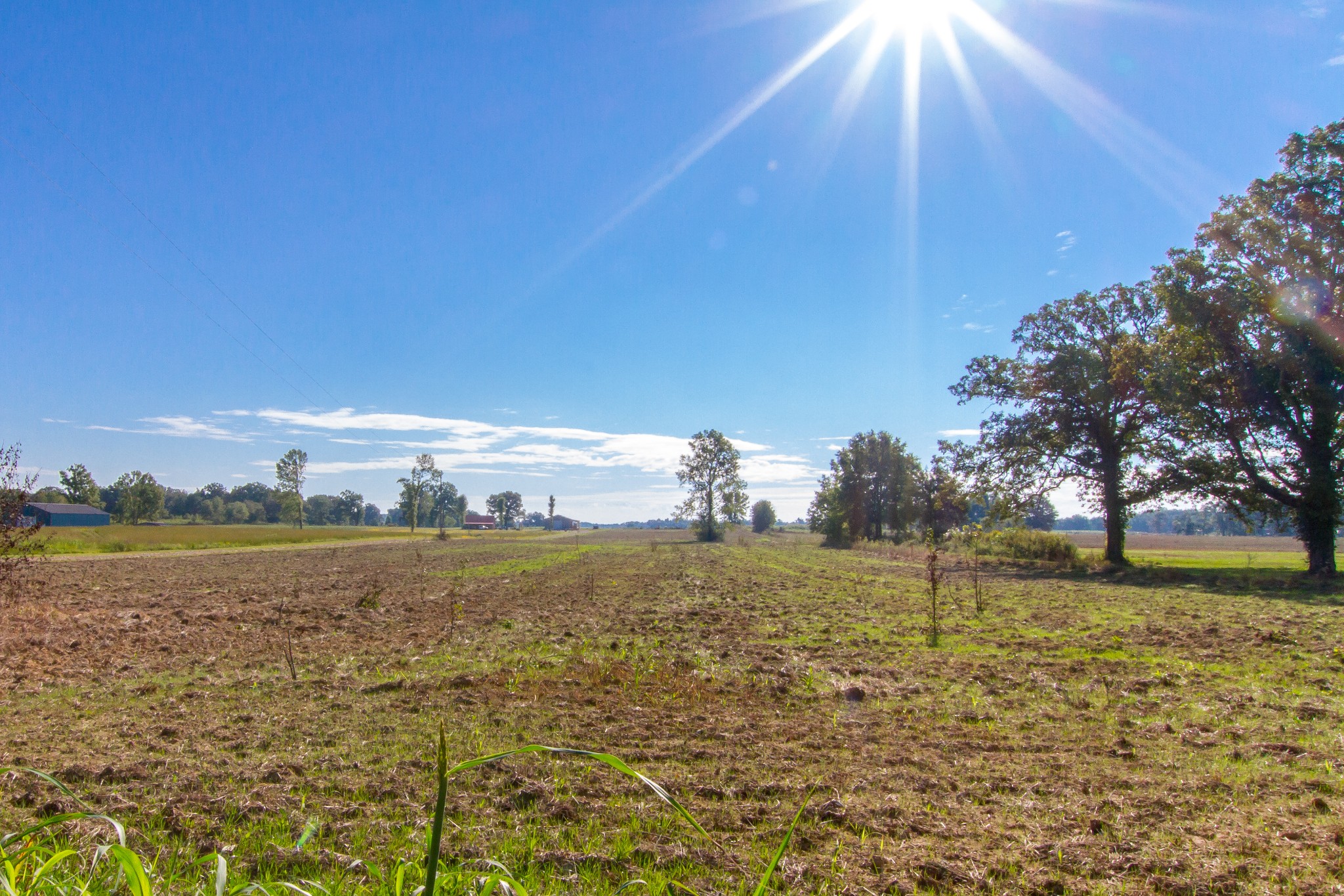 0 Miller Road McMinnville, TN 37110 - Photo 2 of 12