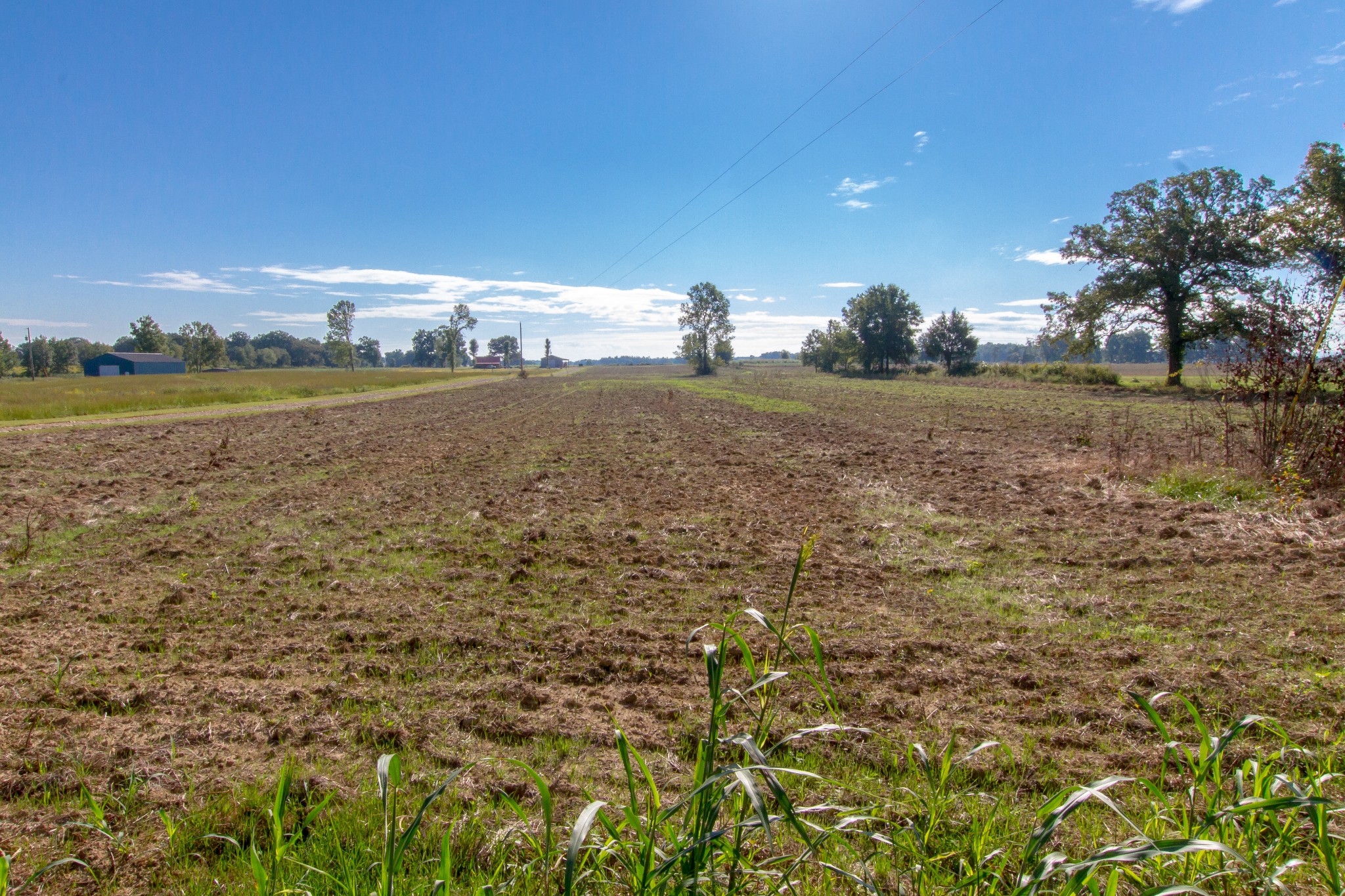 0 Miller Road McMinnville, TN 37110 - Photo 5 of 12