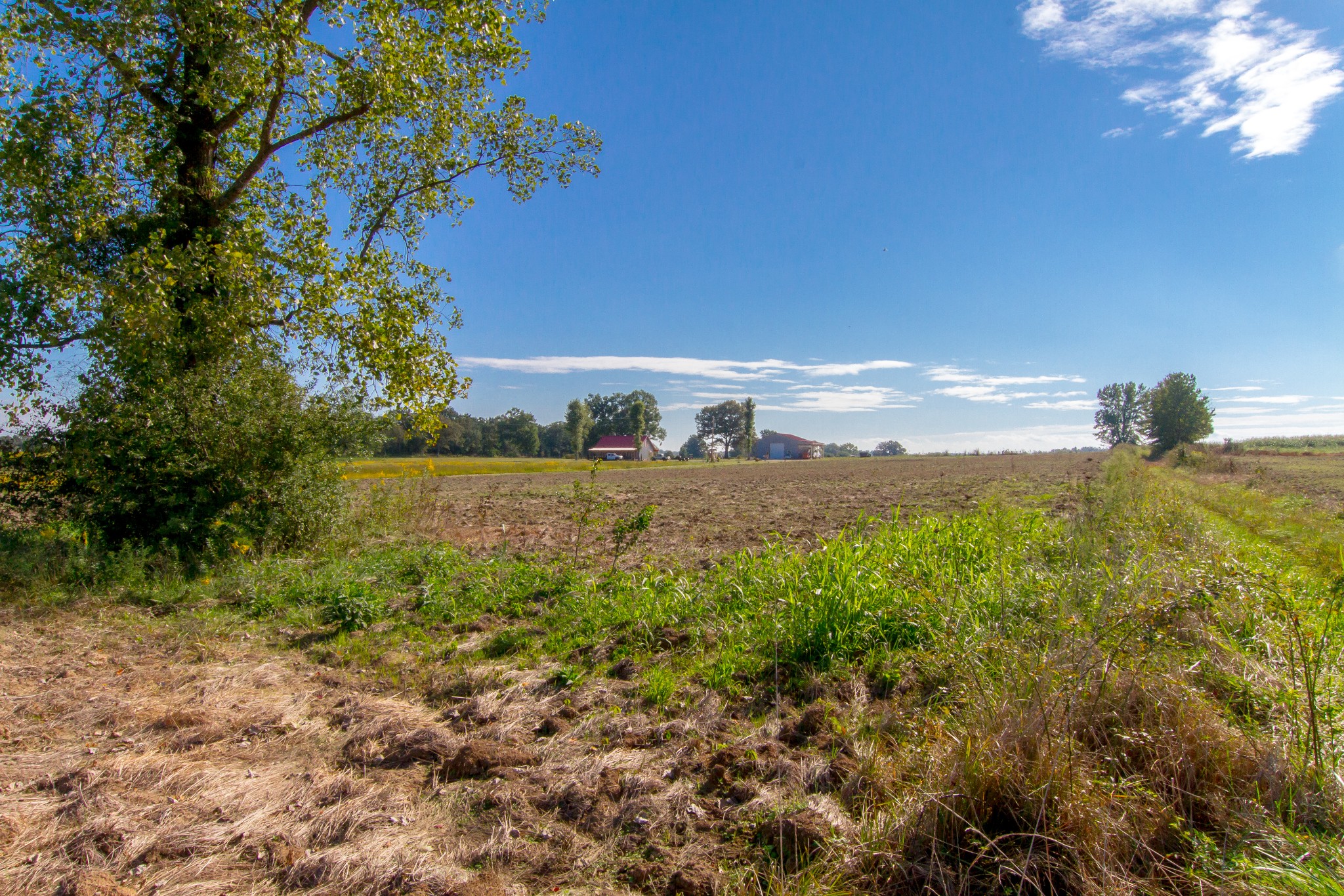 0 Miller Road McMinnville, TN 37110 - Photo 10 of 12