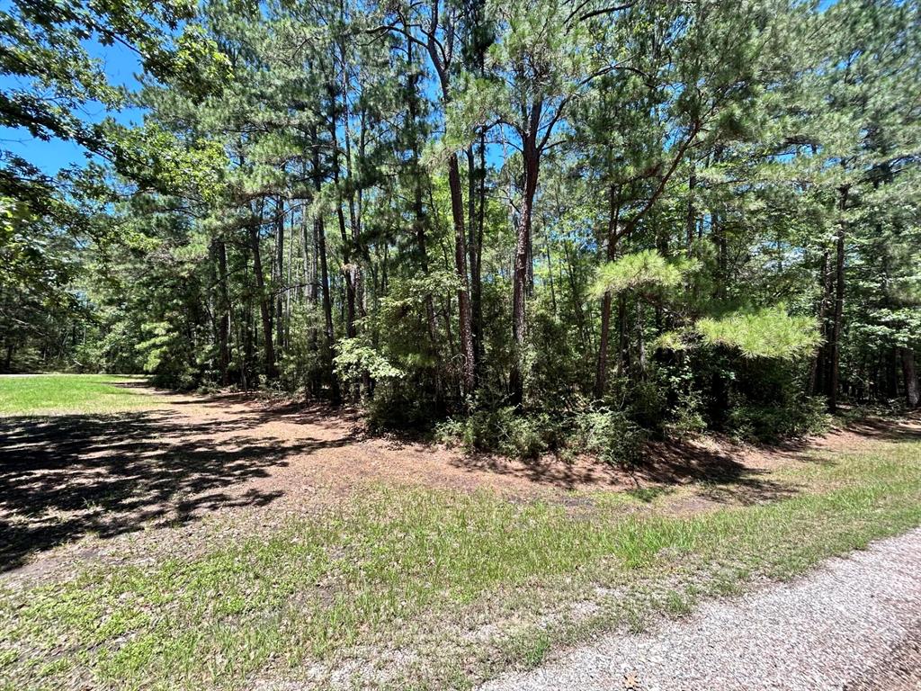 Lot 19 B H Carroll Street Trinity, TX 75862 - Photo 10 of 14