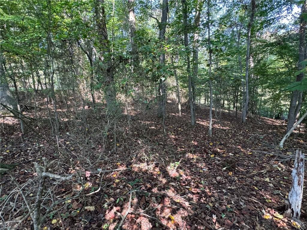 2709 Murray Road State Road, NC 28676 - Photo 33 of 36 Gallery Image 33