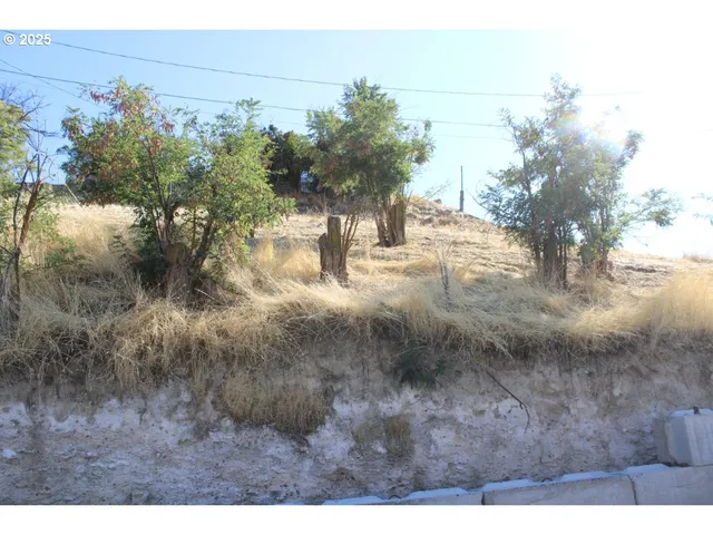a view of a house with a road and a car parked in front of it