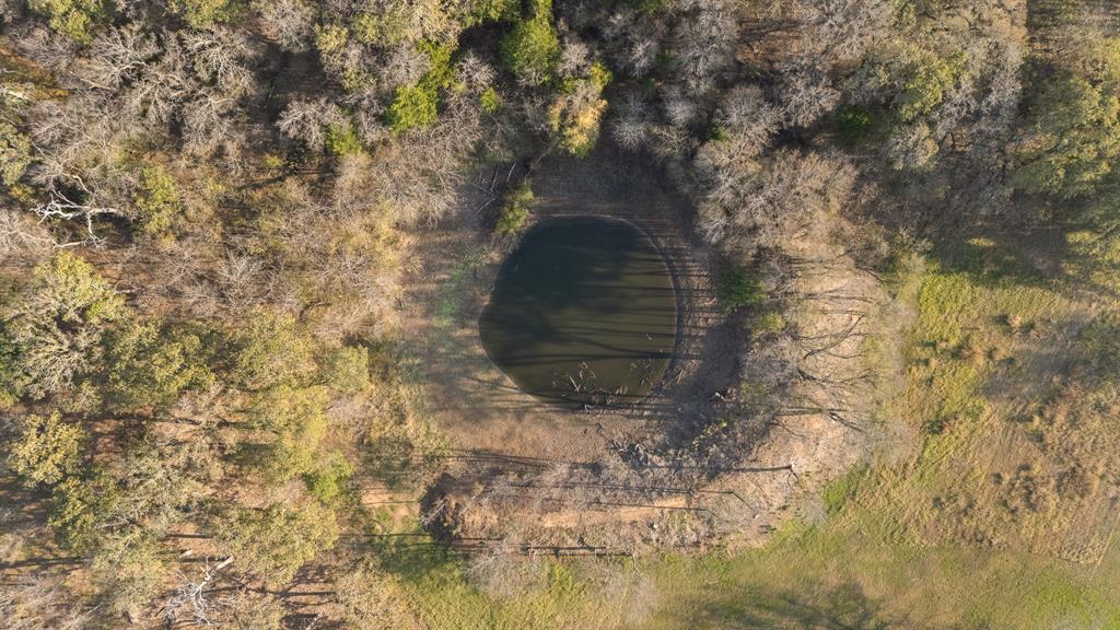 223 West Gaithings Covington, TX 76636 - Photo 19 of 22 Bird's eye view
