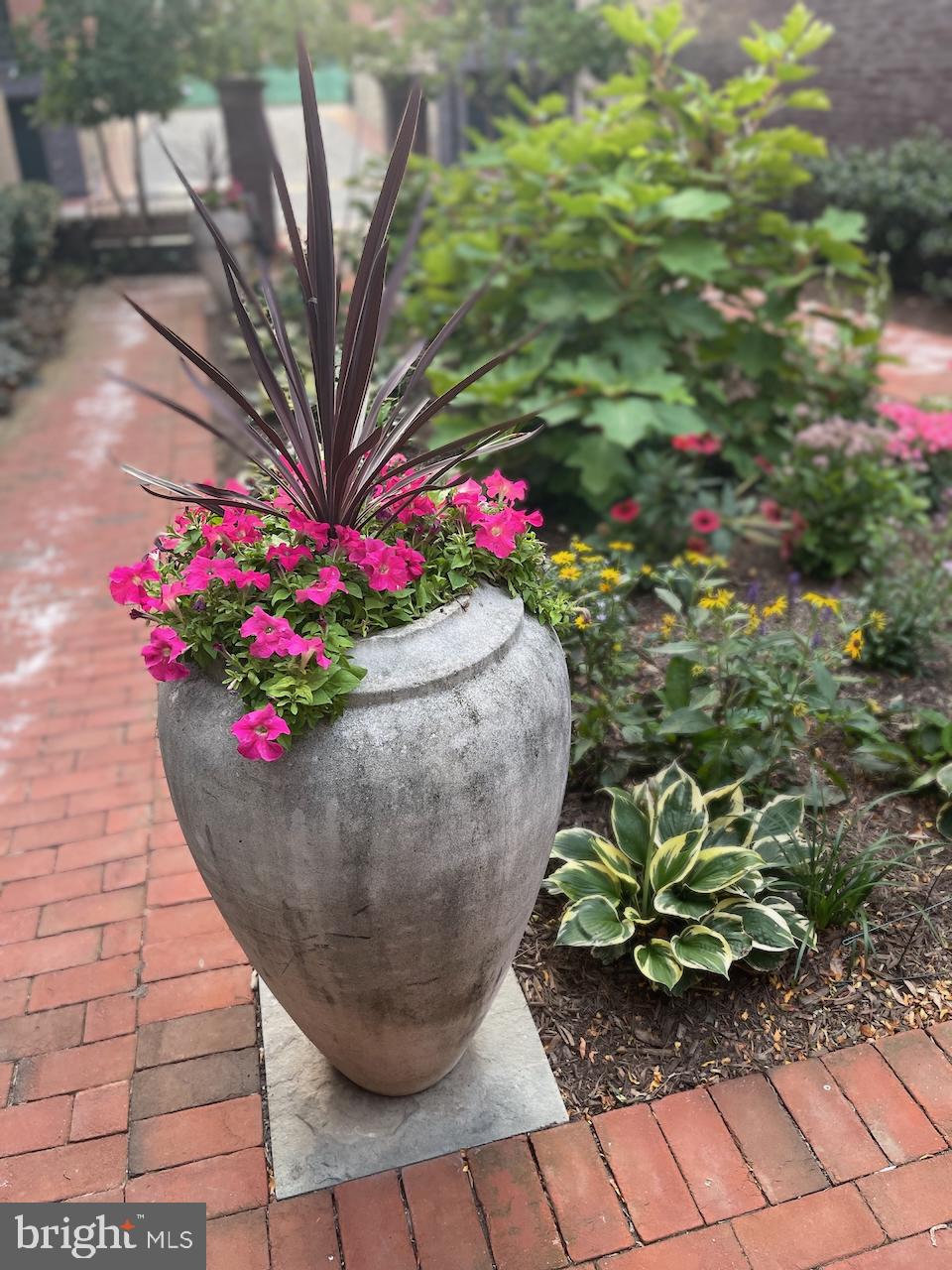 412 13th Street Southeast Washington, DC 20003 - Photo 50 of 62 a view of a flower in a yard