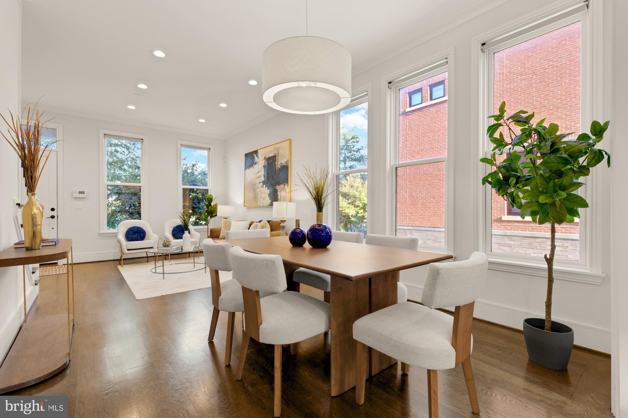 412 13th Street Southeast Washington, DC 20003 - Photo 7 of 62 a living room with furniture and a potted plant