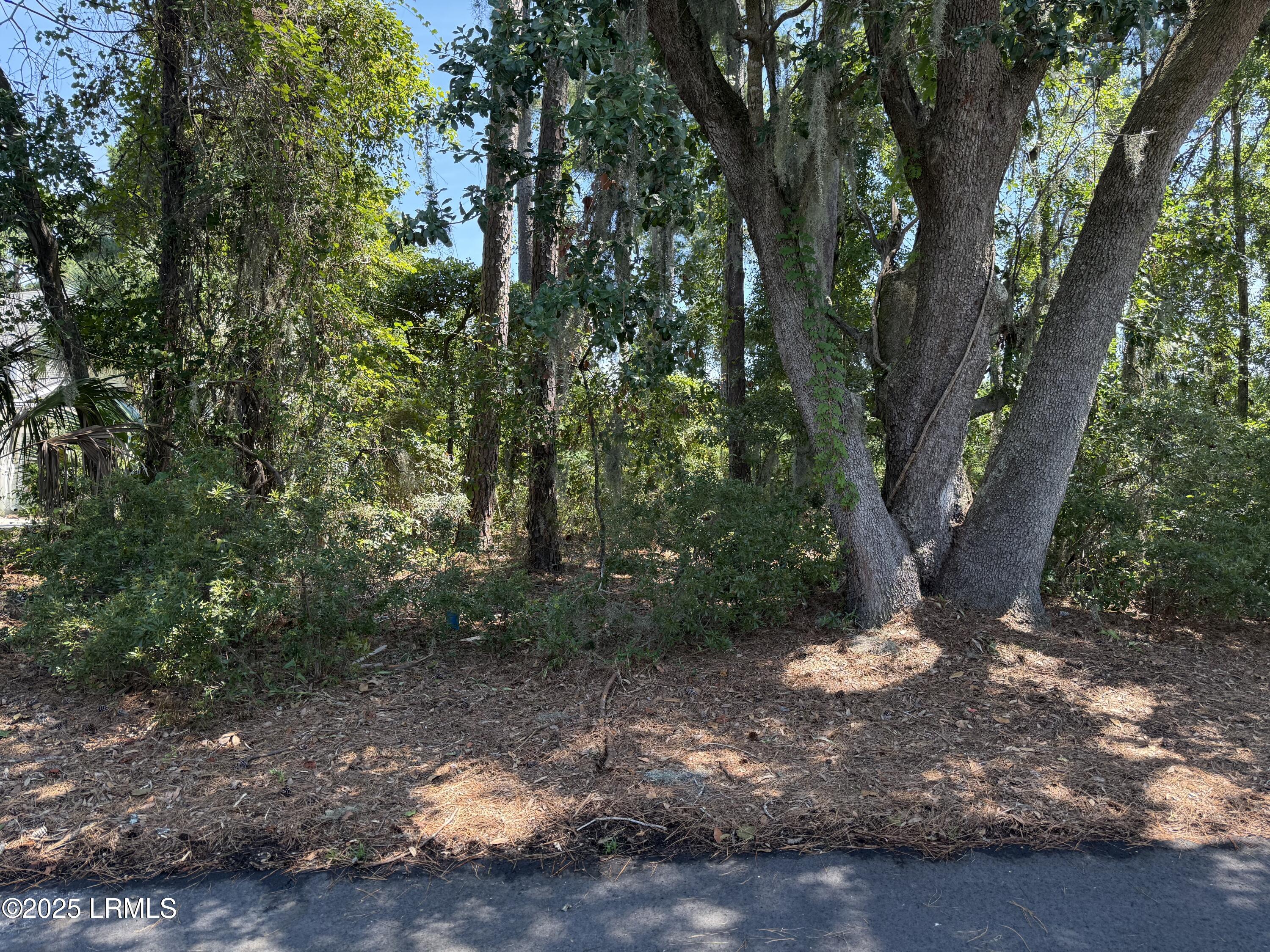 253 Locust Fence Road St. Helena Island, SC 29920 - Photo 1 of 6 253 LF 1