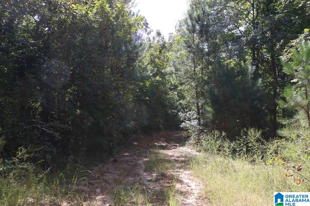 Sprayberry Road, Unit 103 Cropwell, AL 35054 - Photo 35 of 48