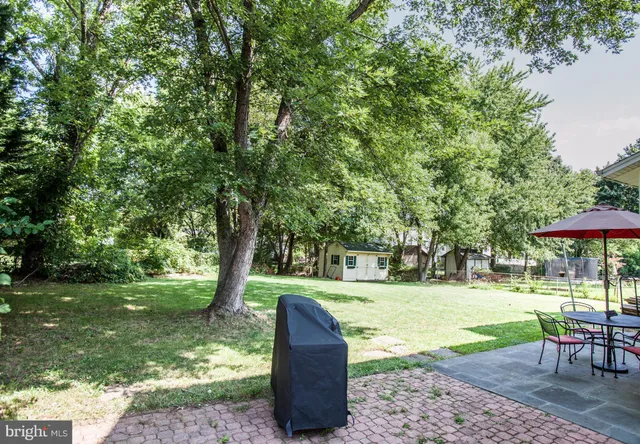 a view of a park with large trees