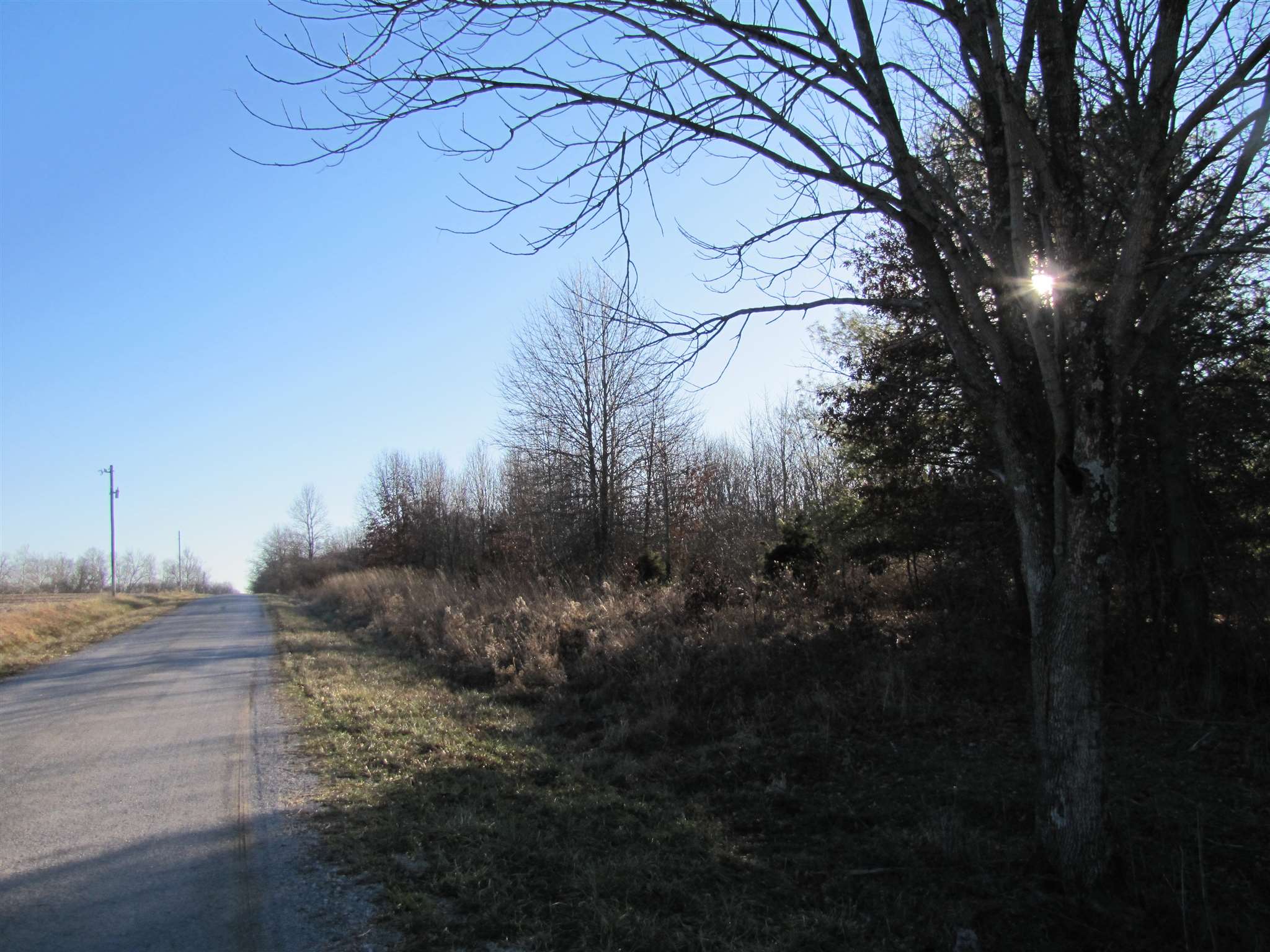 0 Seed House Road Iuka, IL 62849 - Photo 1 of 7
