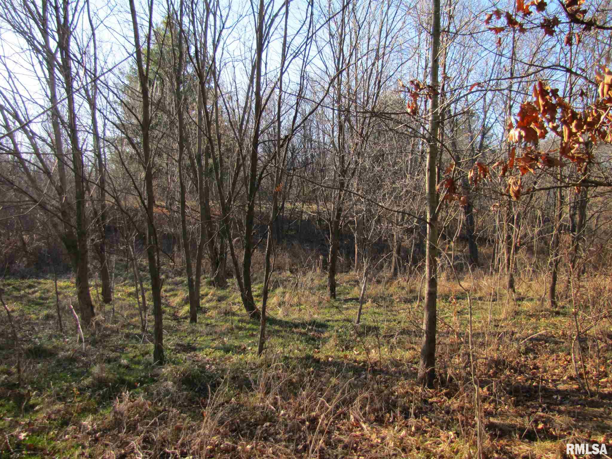 0 Seed House Road Iuka, IL 62849 - Photo 2 of 7