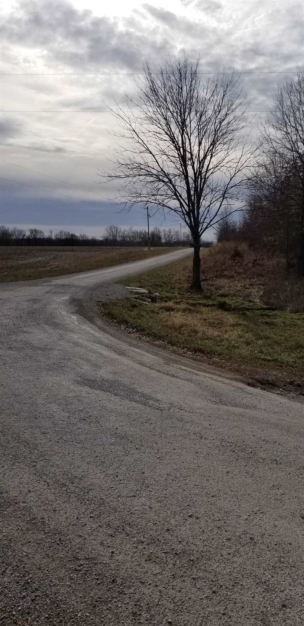 0 Seed House Road Iuka, IL 62849 - Photo 3 of 7