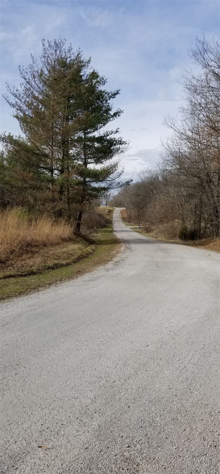0 Seed House Road Iuka, IL 62849 - Photo 6 of 7