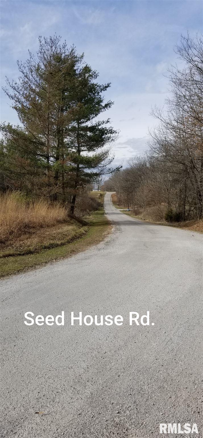 0 Seed House Road Iuka, IL 62849 - Photo 7 of 7