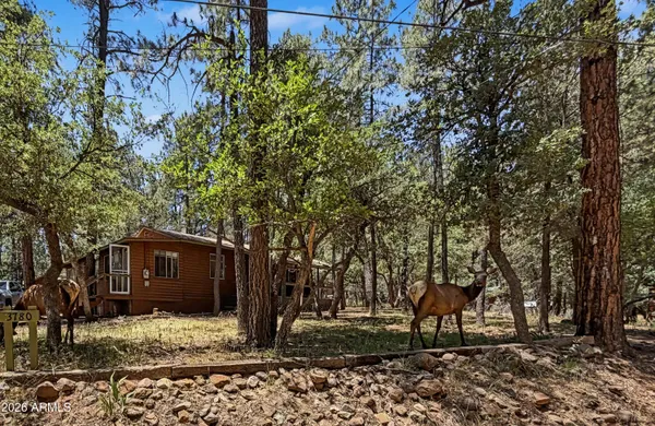 $390,000 | 3780 Hunt Drive, Pine, AZ 85544
