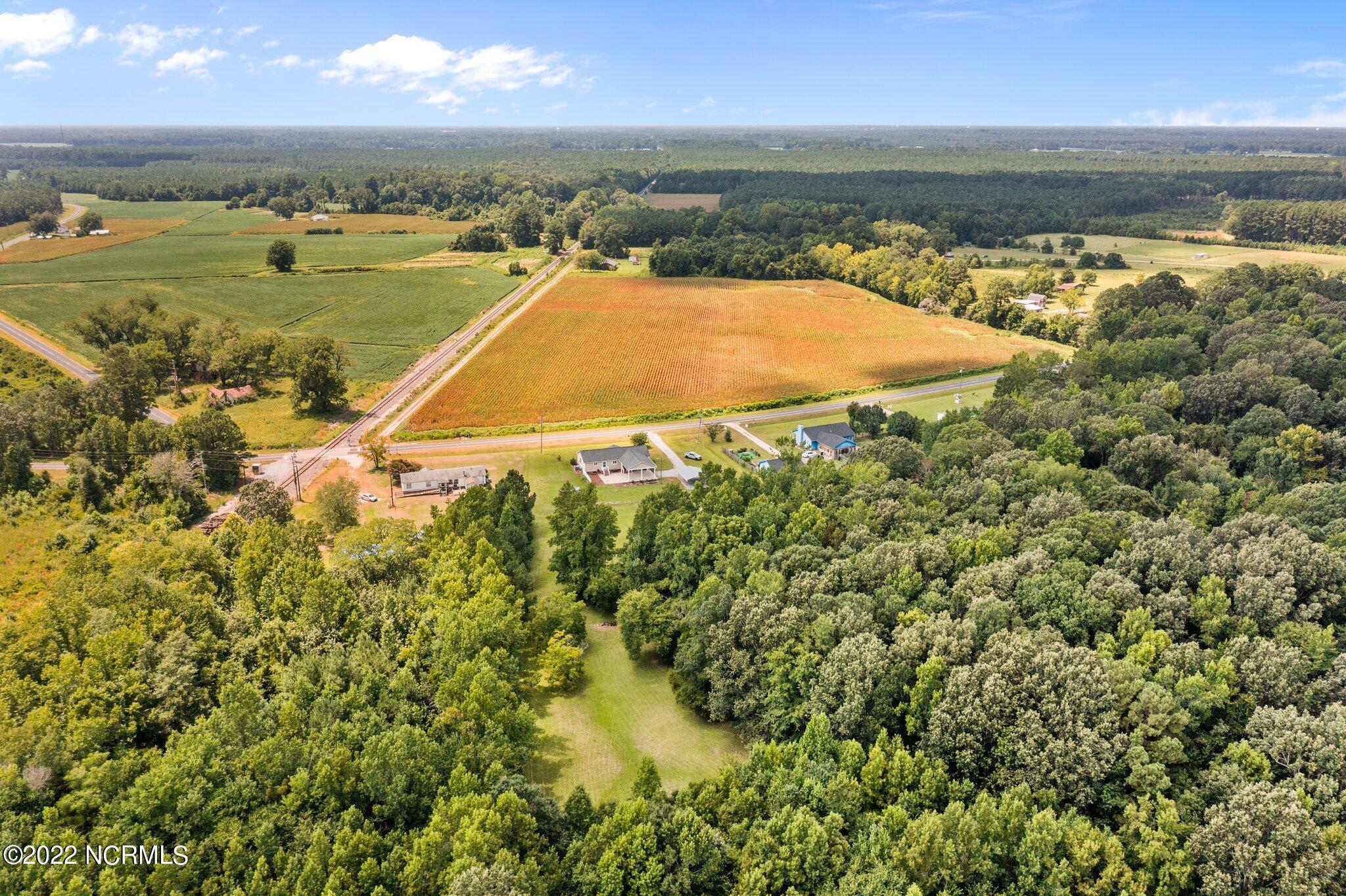 227 Tilghman Road Dover, NC 28526 - Photo 14 of 38 14-web-or-mls-DJI_0660