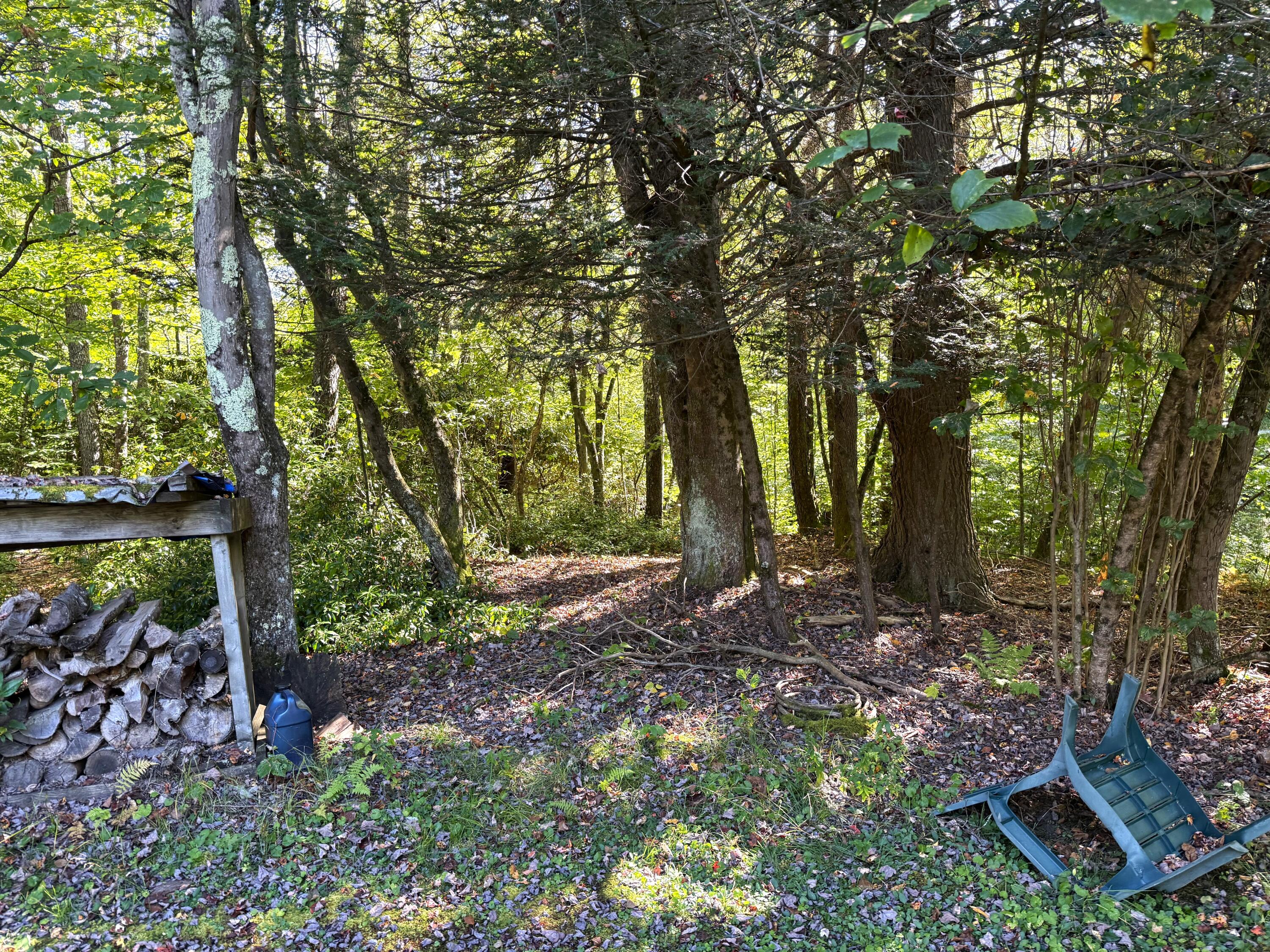 2319 Handley Road Marlinton, WV 24954 - Photo 42 of 43 Gallery Image 42