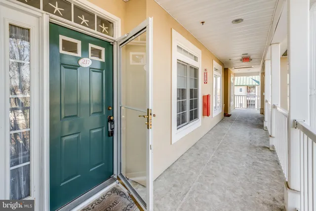 a hallway with a potted plant on the wall and a mirror