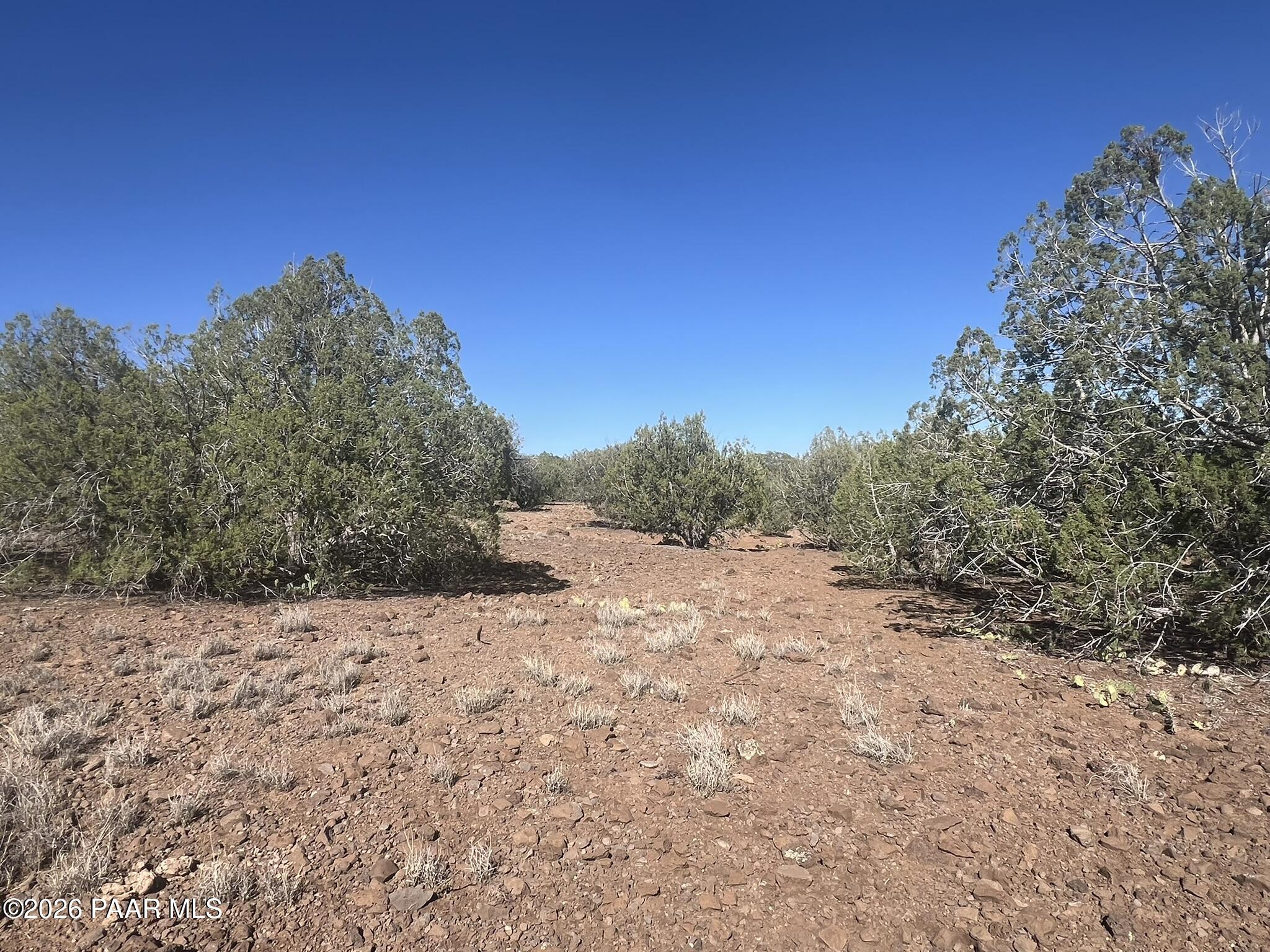 186 Gleed Station Road Ash Fork, AZ 86320 - Photo 3 of 4 IMG_0118