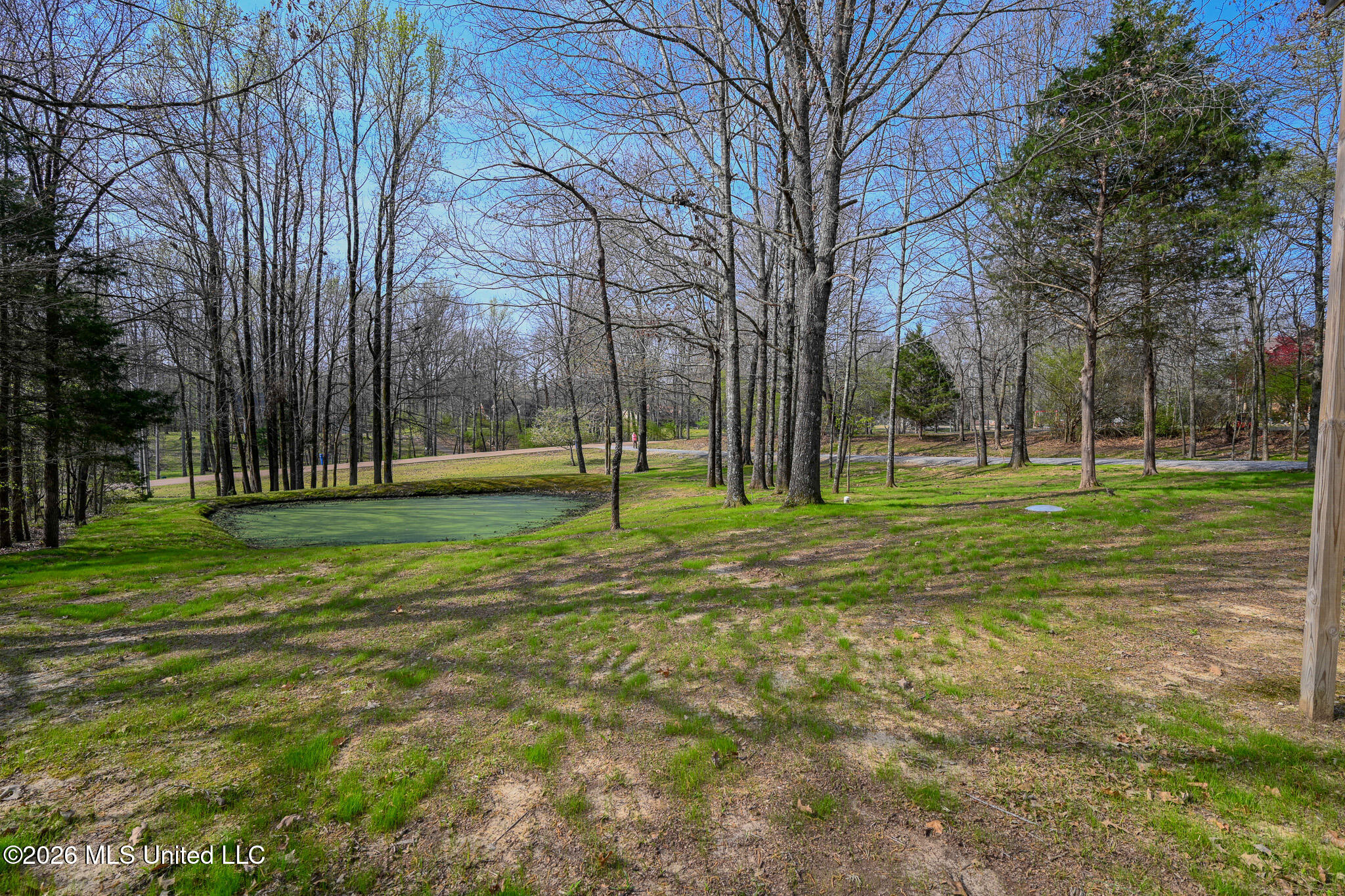 3346 Kyle Lane Hernando, MS 38632 - Photo 12 of 52 3346 Kyle Ln