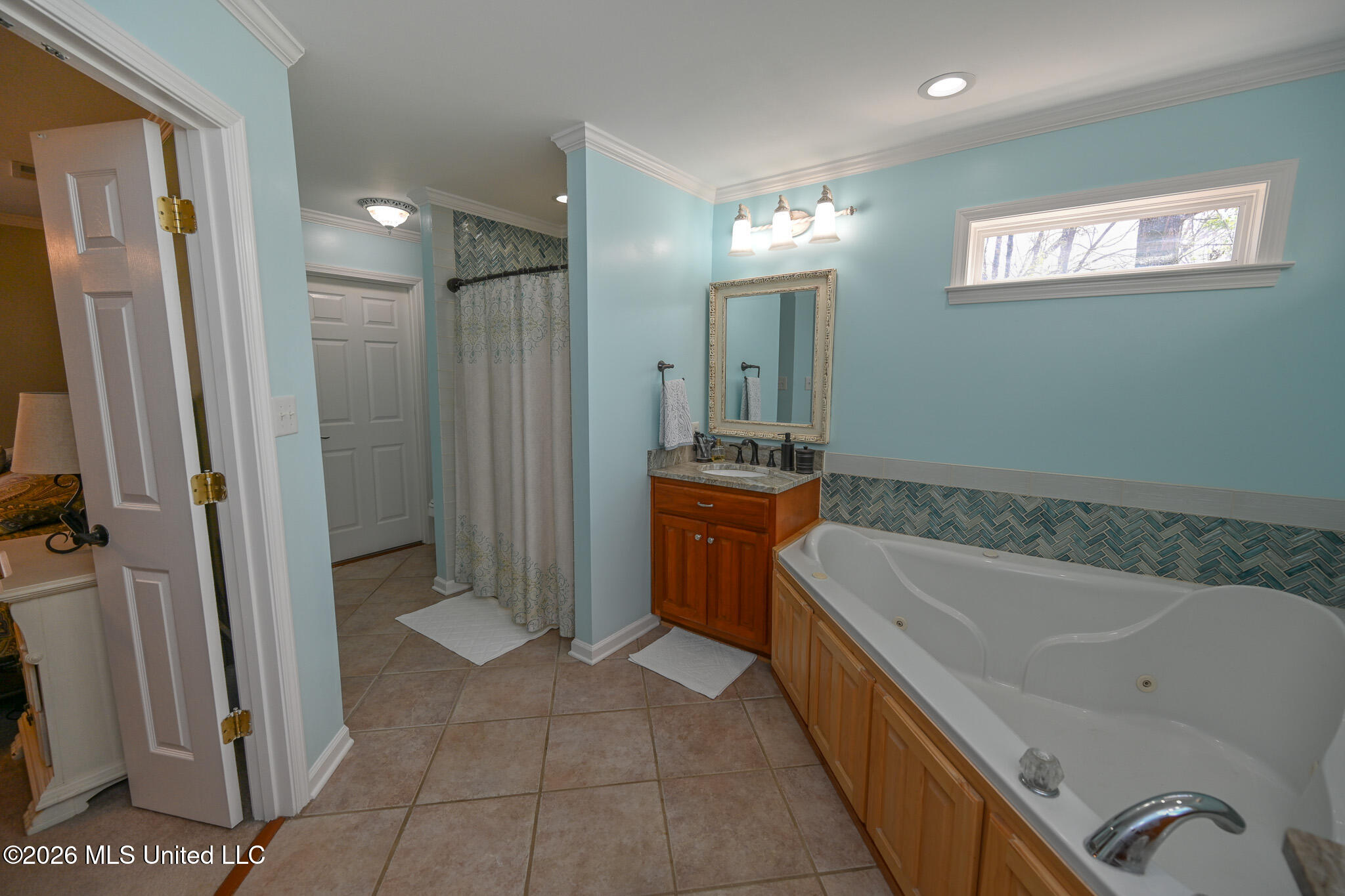 3346 Kyle Lane Hernando, MS 38632 - Photo 37 of 52 Primary Bathroom