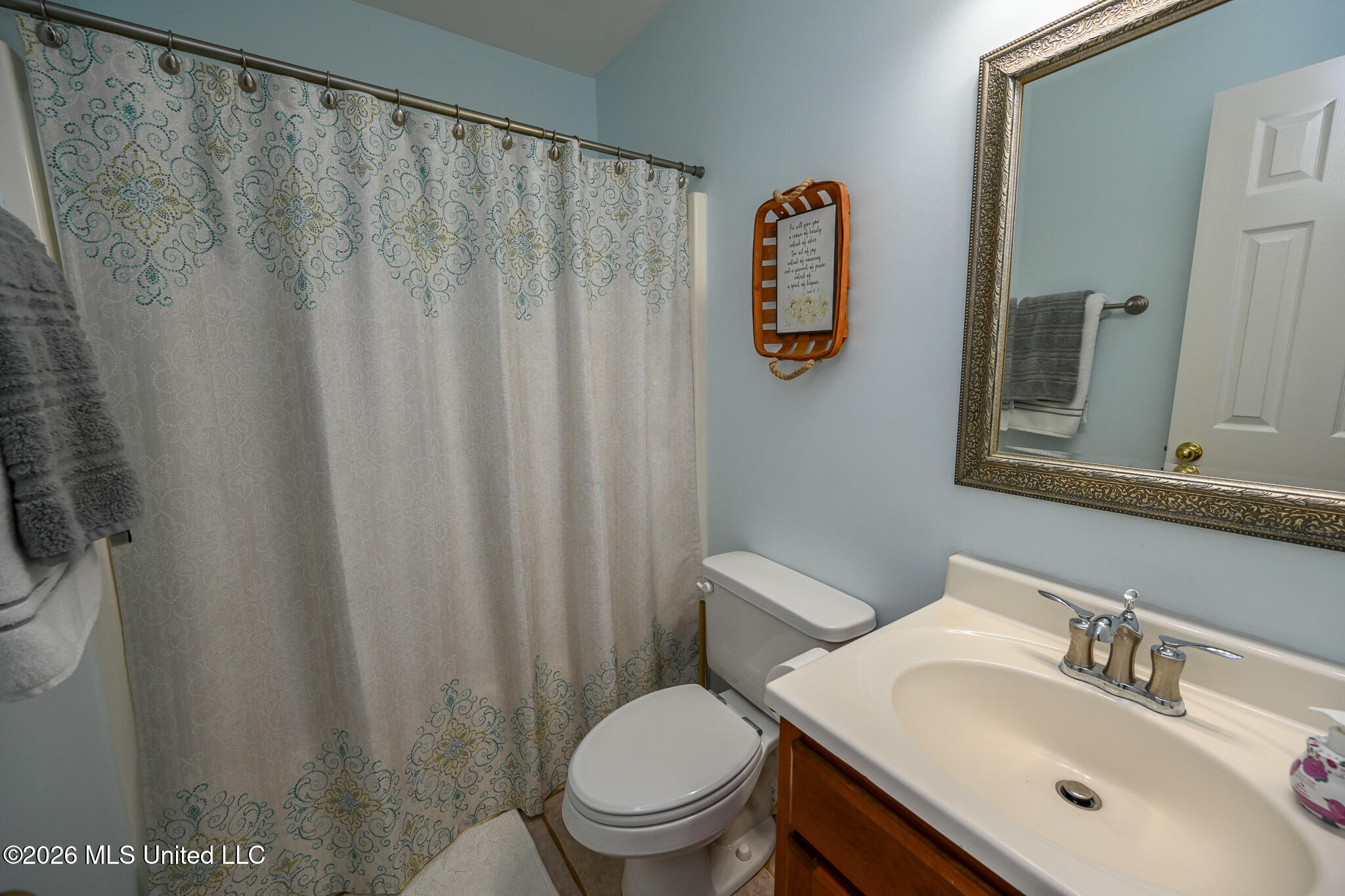 3346 Kyle Lane Hernando, MS 38632 - Photo 41 of 52 Hall Bathroom