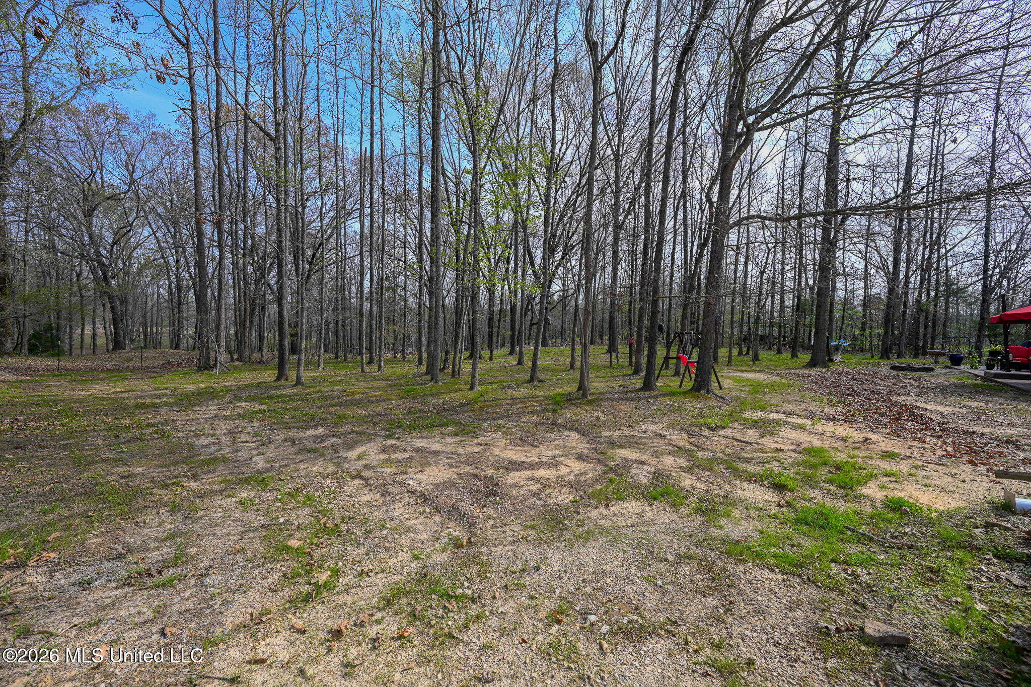 3346 Kyle Lane Hernando, MS 38632 - Photo 47 of 52 Backyard