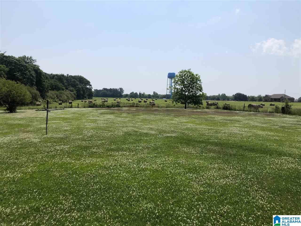 1778 Moore Road Altoona, AL 35952 - Photo 16 of 44