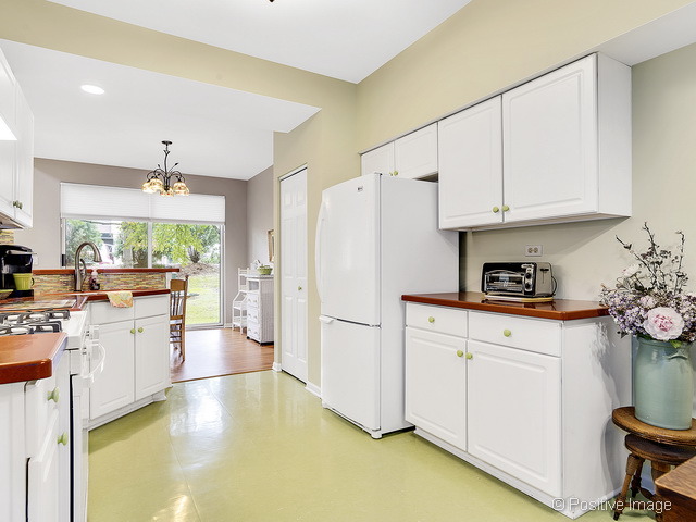 1053 Ripple Ridge Darien, IL 60561 - Photo 11 of 20