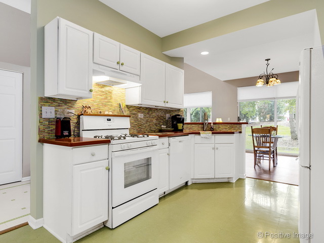 1053 Ripple Ridge Darien, IL 60561 - Photo 12 of 20