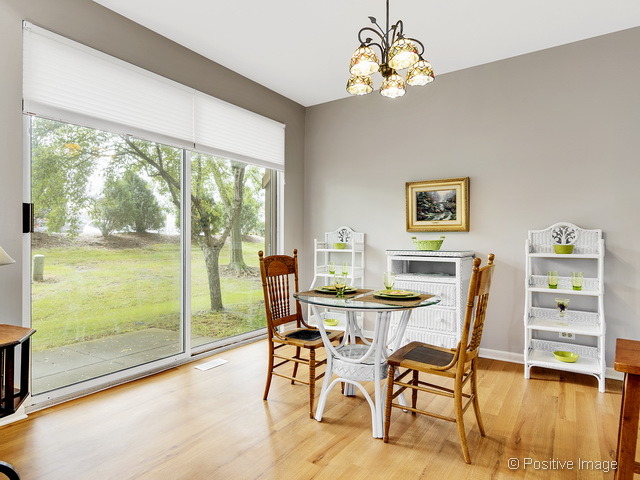 1053 Ripple Ridge Darien, IL 60561 - Photo 8 of 20