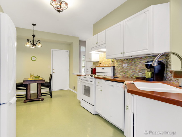 1053 Ripple Ridge Darien, IL 60561 - Photo 10 of 20