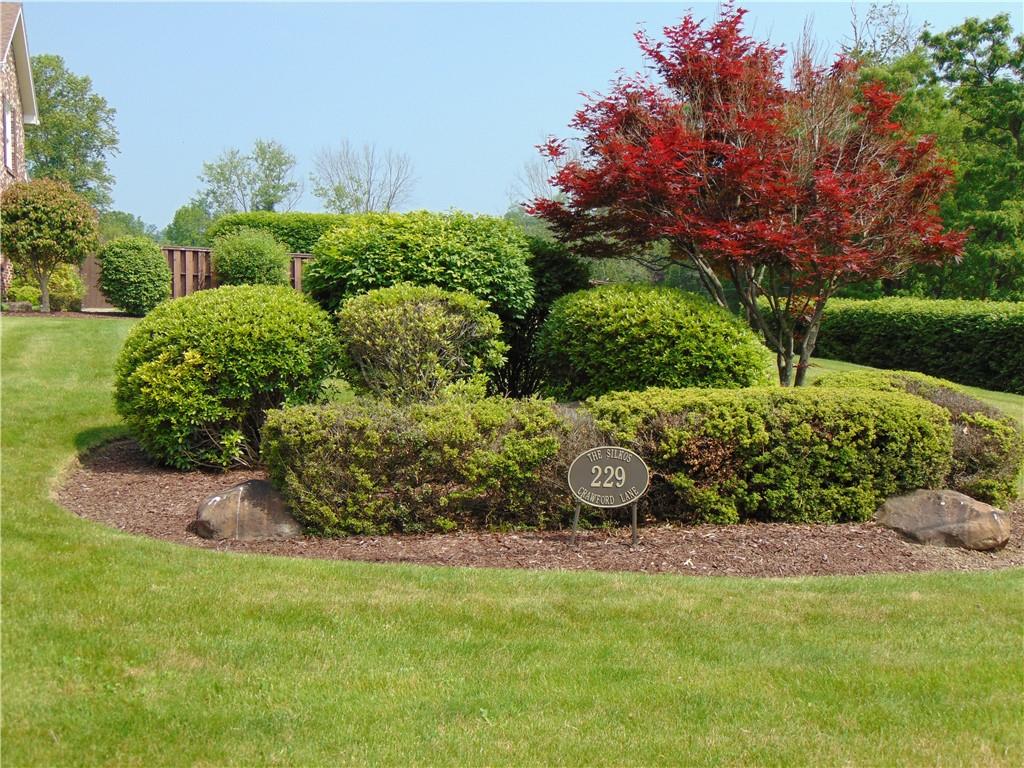 229 Crawford Lane Rostraver Township, PA 15012 - Photo 41 of 48 a view of a garden with plants
