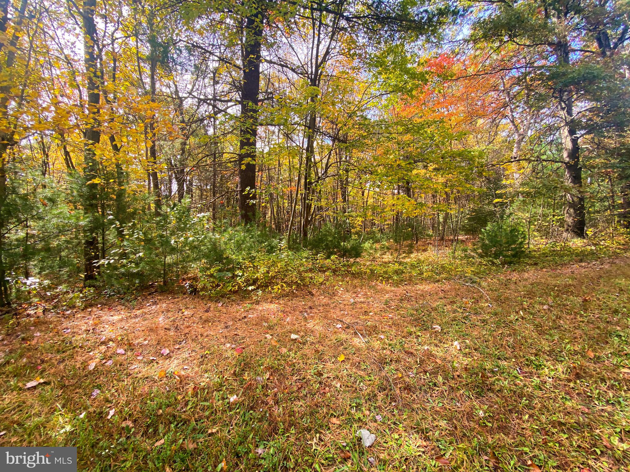 0 Longhorn Road Huntingdon, PA 16652 - Photo 7 of 16 Gallery Image 7