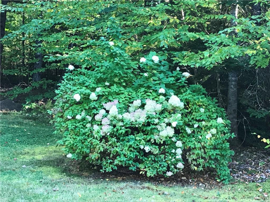 821 Feylers Corner Road Waldoboro, ME 04572 - Photo 23 of 28 Photo
