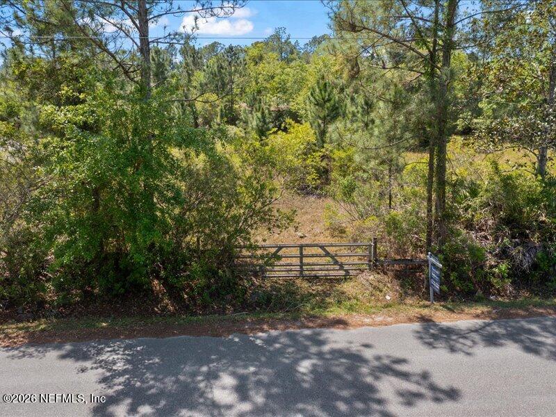 a view of a road with plants and trees