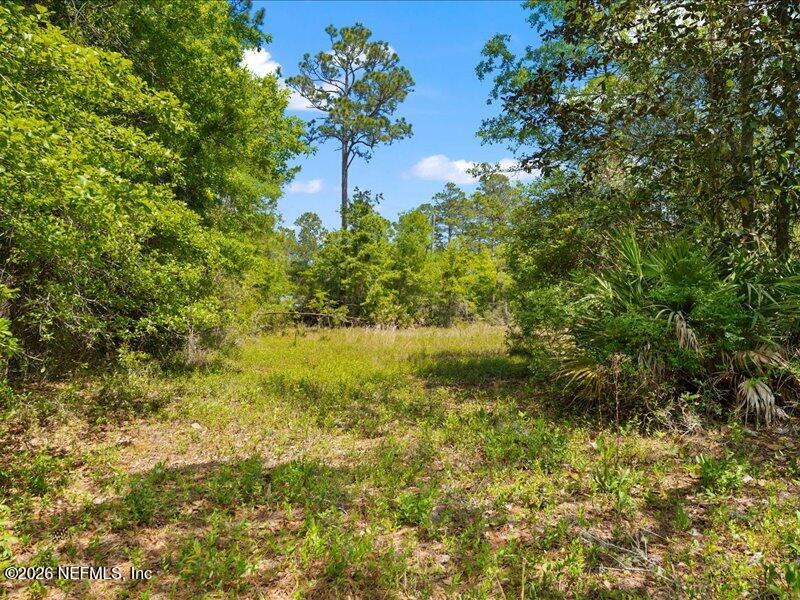 5371 Church Road St. Augustine, FL 32092 - Photo 15 of 33 a view of a garden