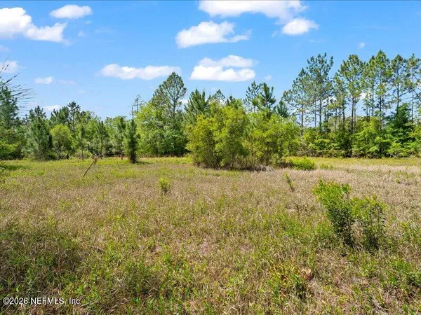 a view of a field with trees in the background