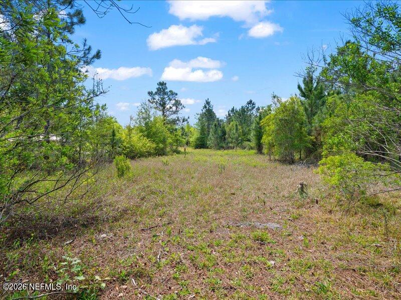5371 Church Road St. Augustine, FL 32092 - Photo 18 of 33 a view of a field with trees in the background