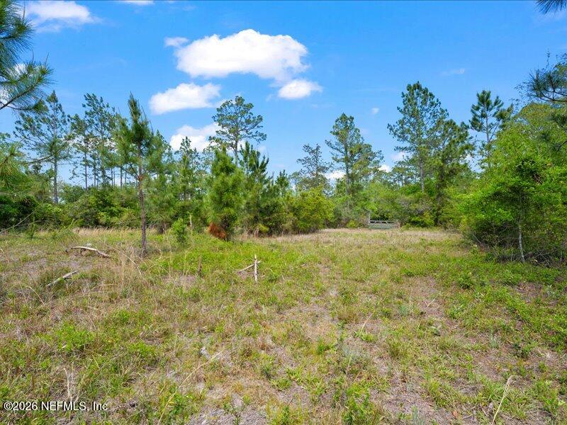 5371 Church Road St. Augustine, FL 32092 - Photo 19 of 33 a view of yard with green space