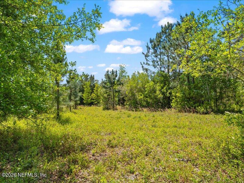 5371 Church Road St. Augustine, FL 32092 - Photo 20 of 33 a view of a yard