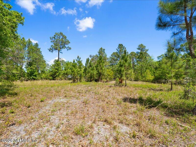 5371 Church Road St. Augustine, FL 32092 - Photo 21 of 33 a view of a yard