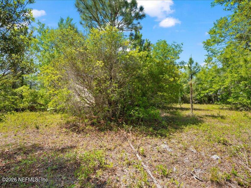 5371 Church Road St. Augustine, FL 32092 - Photo 22 of 33 a view of a yard with a tree