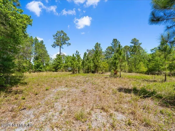 a view of a yard with a tree