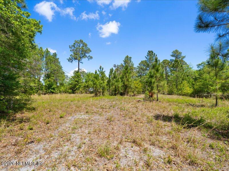 5371 Church Road St. Augustine, FL 32092 - Photo 23 of 33 a view of a yard