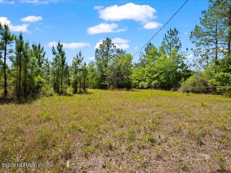 5371 Church Road St. Augustine, FL 32092 - Photo 24 of 33 a view of a yard with a tree