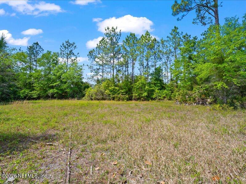 5371 Church Road St. Augustine, FL 32092 - Photo 25 of 33 a view of yard with swimming pool