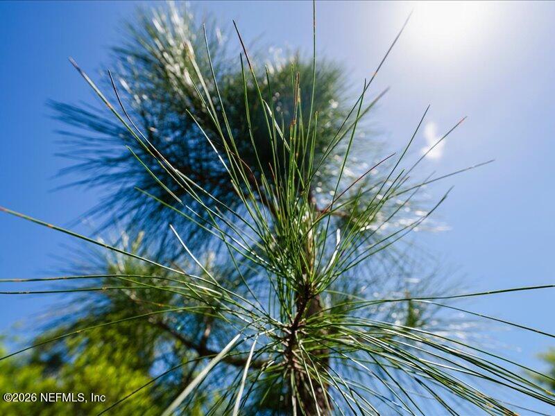 5371 Church Road St. Augustine, FL 32092 - Photo 31 of 33