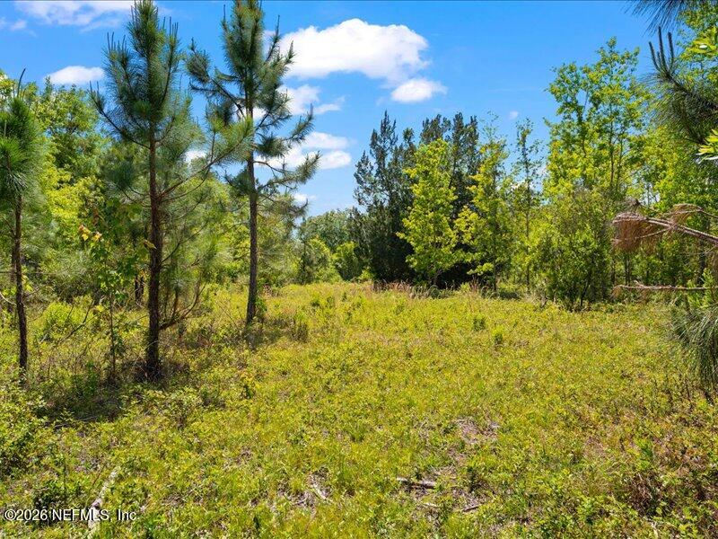 5371 Church Road St. Augustine, FL 32092 - Photo 32 of 33